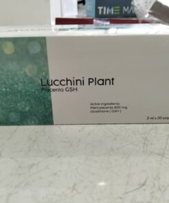 Lucchini plant